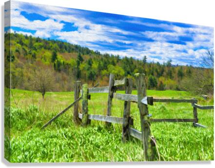 fence paint Canvas Print