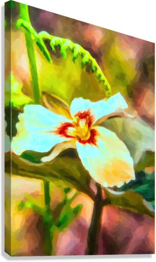 Trillium one Canvas Print