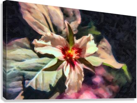 Trillium two Canvas Print