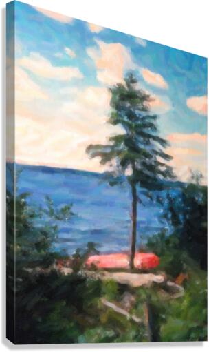 Canoe Tree Canvas Print