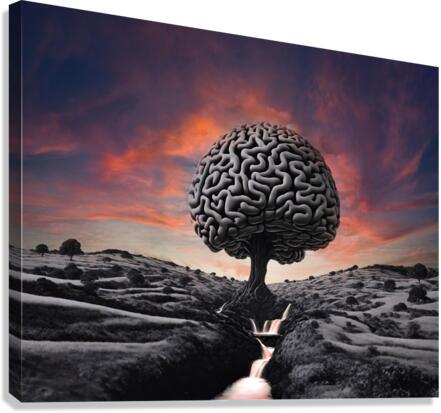 Spinal Stream final Canvas Print