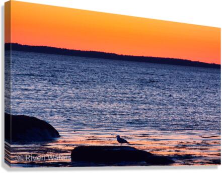 Coastal 21 Canvas Print