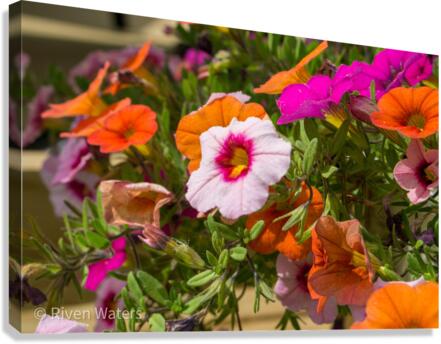 Flowers025 Canvas Print