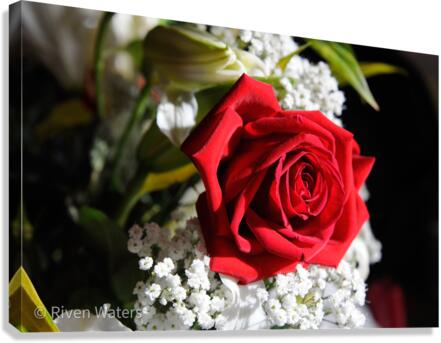 Flowers014 Canvas Print