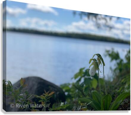 Flowers037 Canvas Print