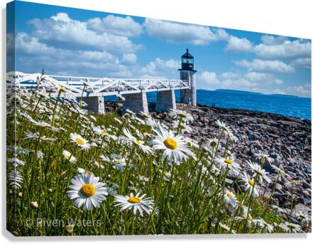Flowers026 Canvas Print