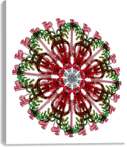 Mandala 003 Canvas Print