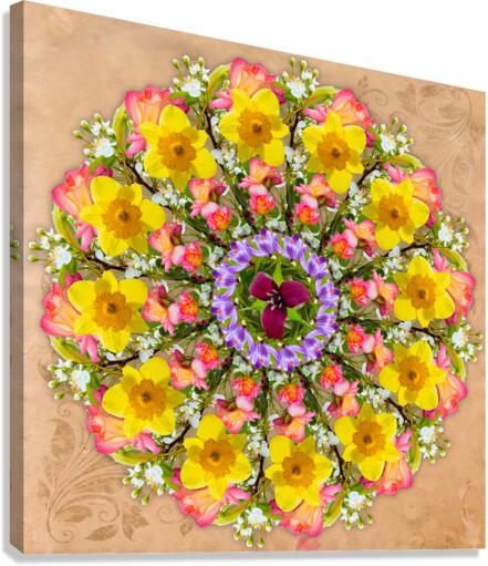 Mandala 001 Canvas Print