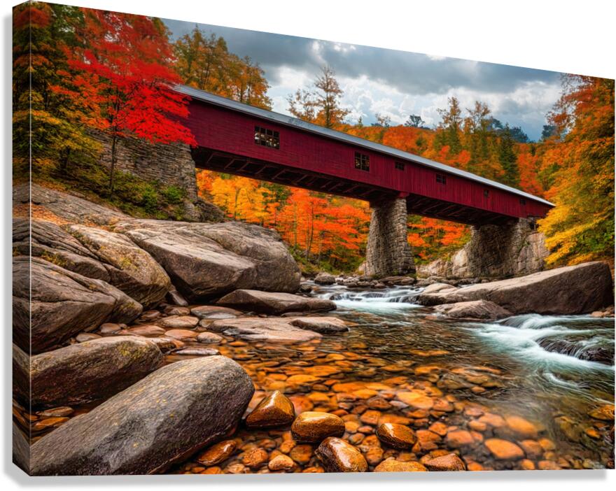 Fall No18 Canvas Print