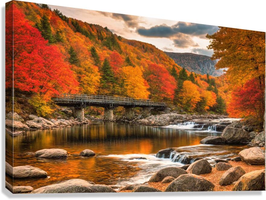 Fall No17 Canvas Print