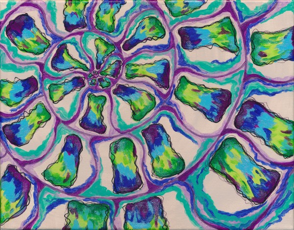Ammonite by Cierra Rose Designs