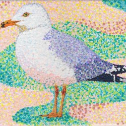 Seagull