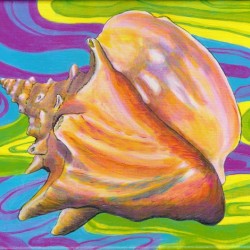 Seashell