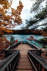 Fall Rhapsody