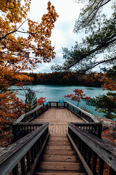 Fall Rhapsody