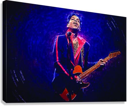 Prince  2 Canvas Print