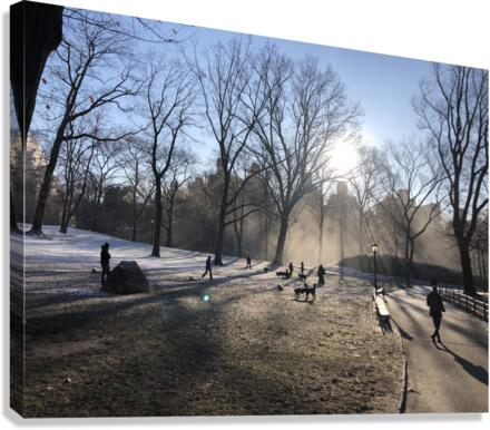 Central Park Winter Canvas Print