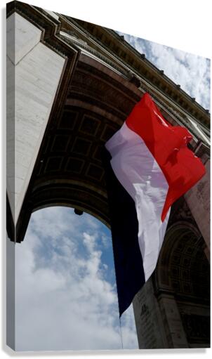 Vive La Canvas Print