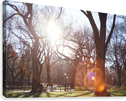 Central Park Canvas Print