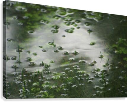 FloodRain5 Canvas Print