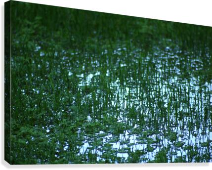 FloodRain2 Canvas Print