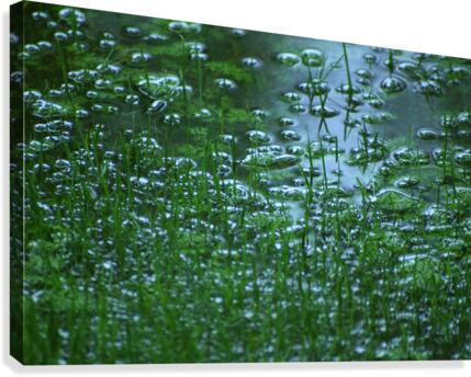 FloodRain1 Canvas Print