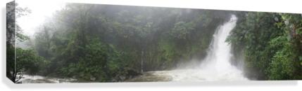 Panoramic Canvas Print