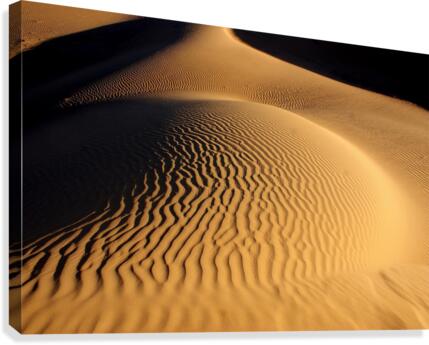 Sahara Canvas Print