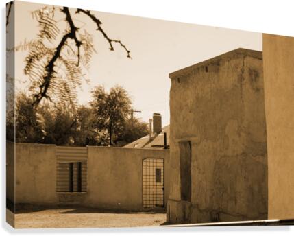 TUCSON17 Canvas Print