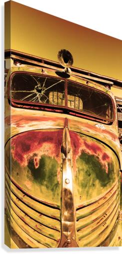RT6 Canvas Print