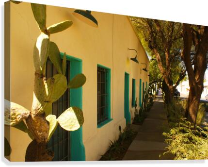TUCSON13 Canvas Print