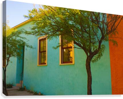 TUCSON18 Canvas Print