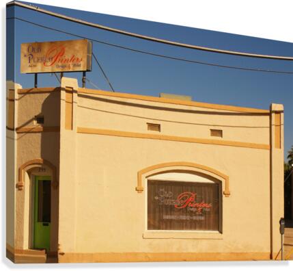 TUCSON40 Canvas Print