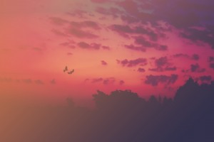 Love Runs Out