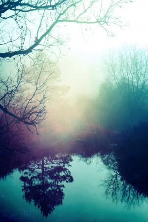 Autumn Fog