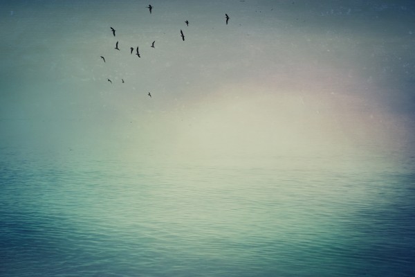 Emptiness In Between  Print