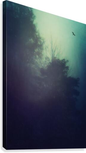 The Nothing  Canvas Print