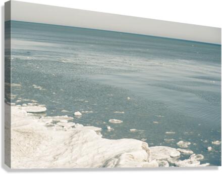 Blue Huron Canvas Print