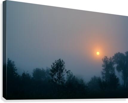 Beautiful Problem Canvas Print
