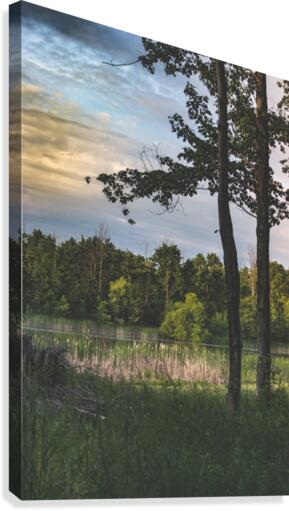 Sometimes Canvas Print