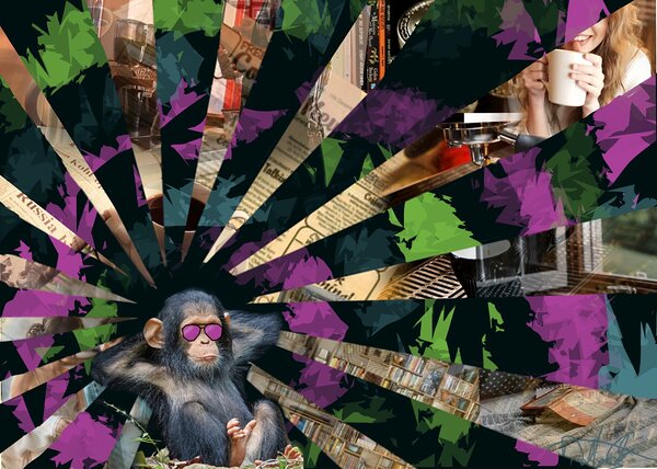 monkey Print