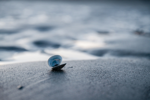 Tide Shell by Benlo
