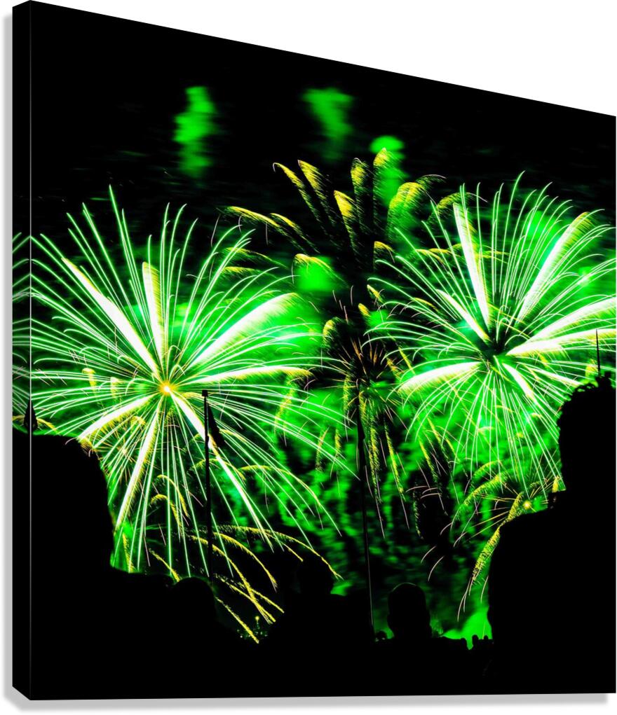 DSC00378 Canvas Print