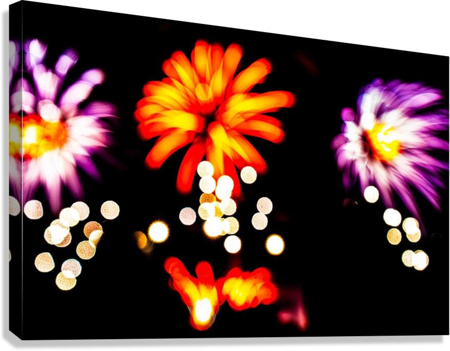 DSC00388 Canvas Print