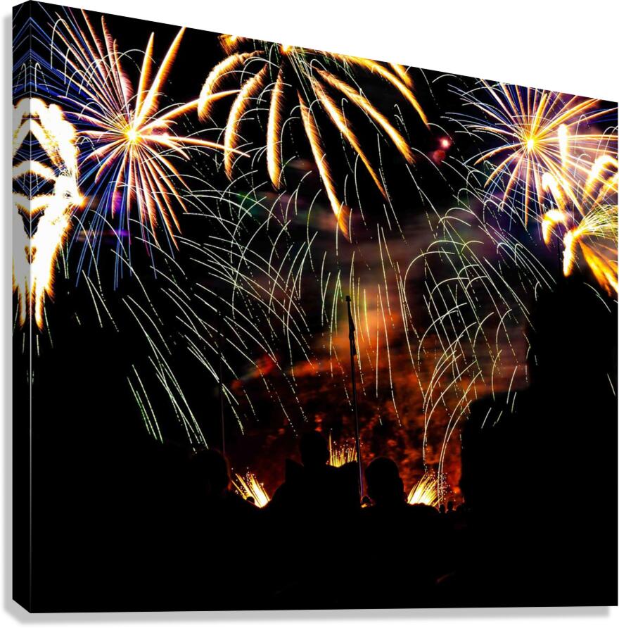 DSC00364 Canvas Print
