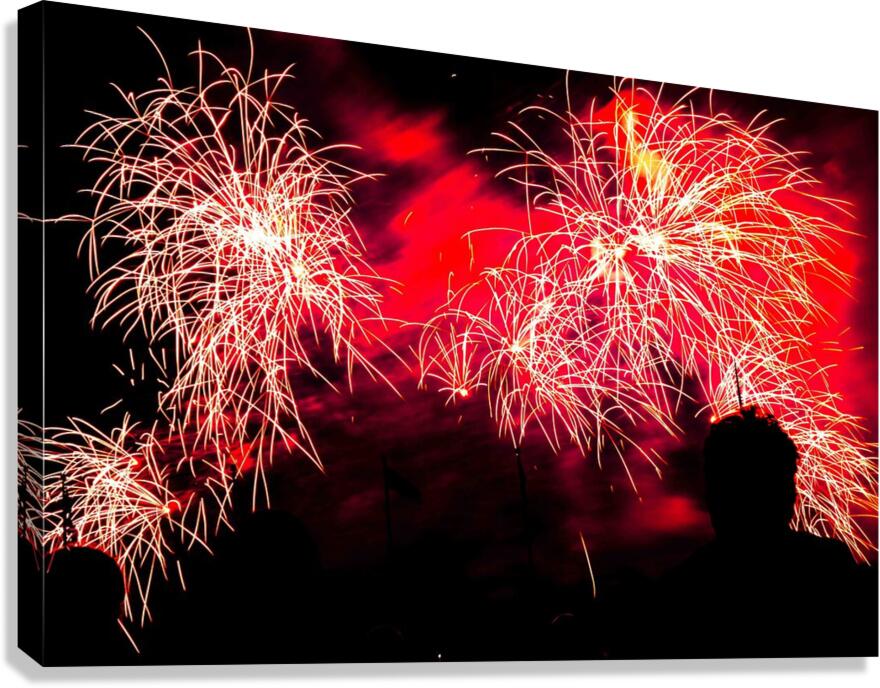 DSC00362 Canvas Print