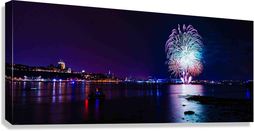 DSC00541 Canvas Print
