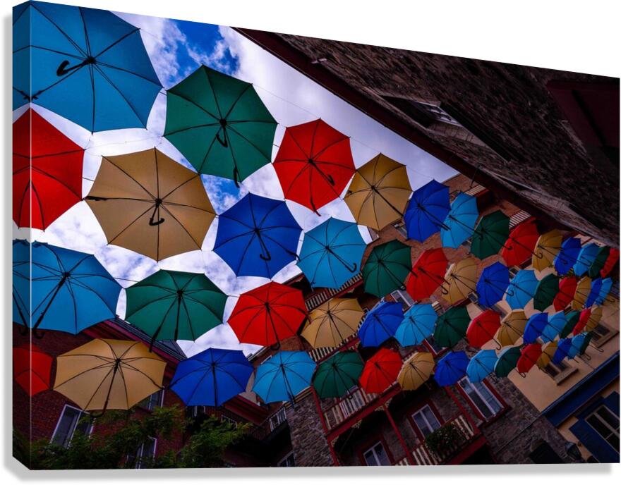DSC00133 Canvas Print