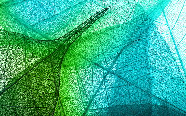 texture green leaf abstraction 3d Print