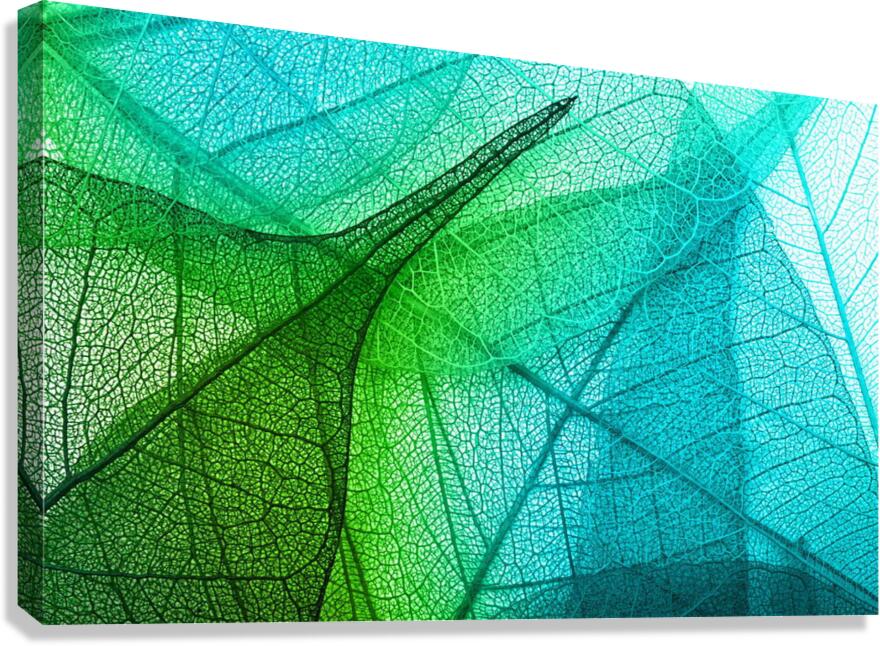 texture green leaf abstraction 3d Canvas Print